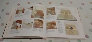 Libro decorar pasteles y técnicas