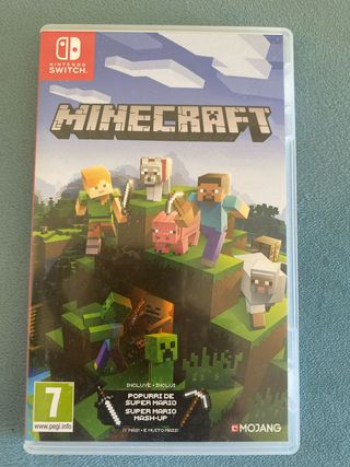 Minecraft Nintendo Switch