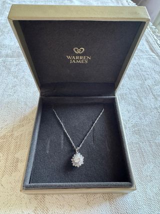 Colgante Warren James Plata y Circonitas