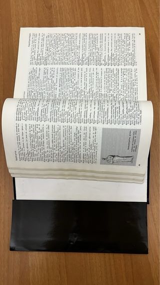 Dizionario illustrato greco-italiano