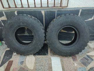 Neumático Michelin Camión