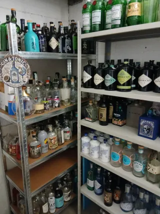 Bottiglie vuote Gin 10 tot - Diverse Marche