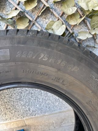 Neumaticos michelin 