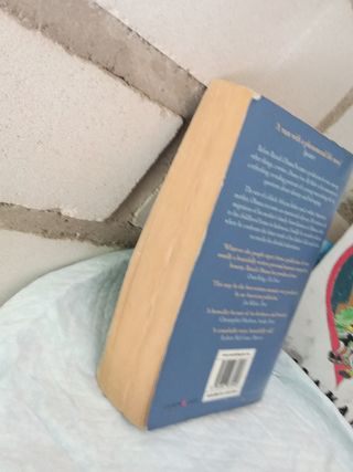 Dreams from My Father libro en inglés