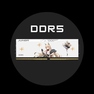 am 32gb juhor ddr5 no rgb