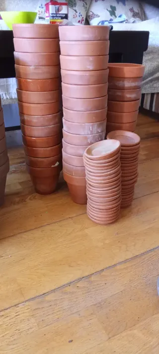 Lote Macetas Terracota