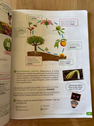 Ciencias de la naturaleza. 3 Primaria. Revuela....