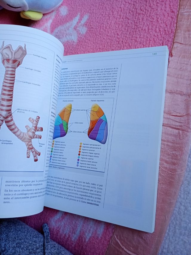Técnicas básicas de enfermería GM 2008 (Spanish...