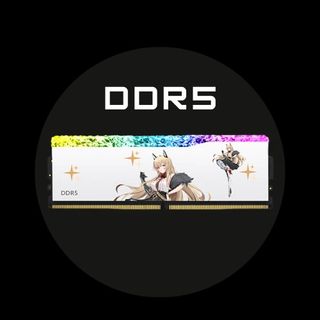 ram juhor ddr5 32gb rgb