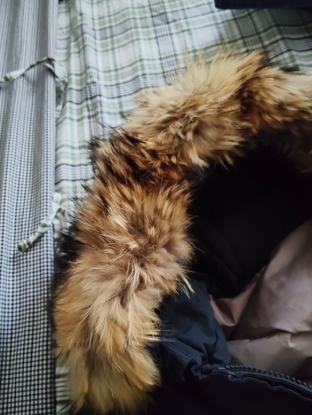 Giacca invernale donna con cappuccio