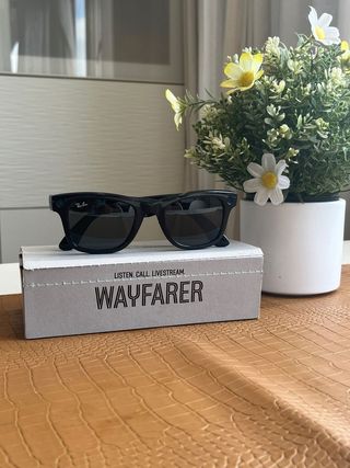 Ray-Ban Meta Wayfarer