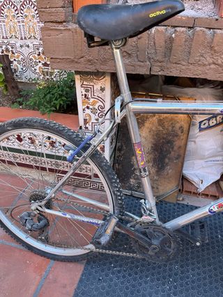 Bicicleta