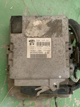 Centralita Magneti Marelli IAW 1AP.81