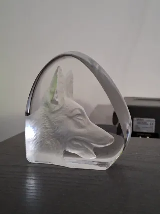 Pisa papeis cristal imagem cão