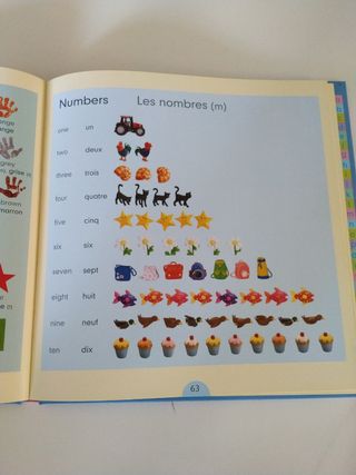 Very First Dictionary in French (Usborne Illust...