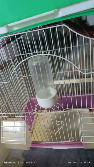 2 Jaulas para pájaros