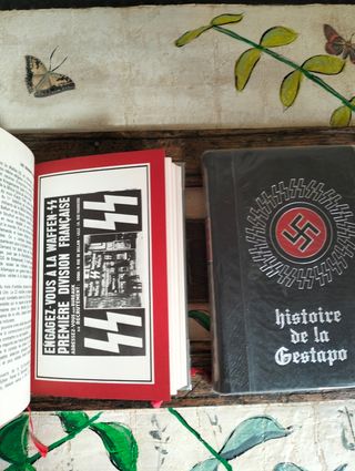 2 Libros Historia Ocupación Gestapo