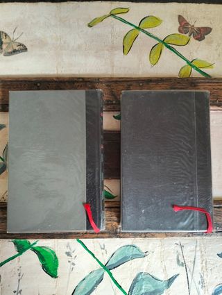 2 Libros Historia Ocupación Gestapo