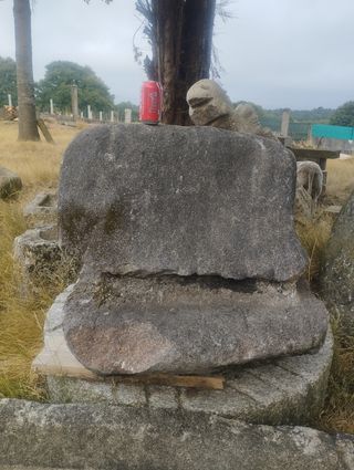Piedra Ornamental de Granito "Trufa"