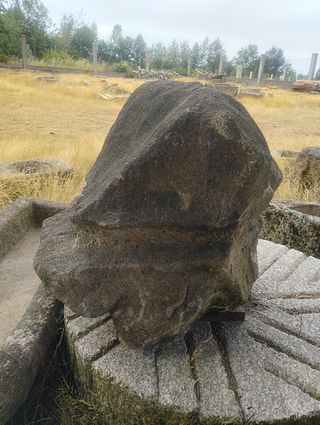 Piedra Ornamental de Granito "Trufa"
