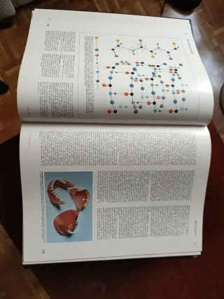 El Gran Larousse De La Medicina: