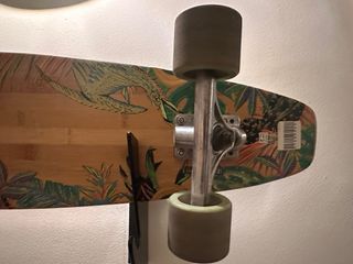 Globe The All Time Bamboo Prickly Pear Longboard