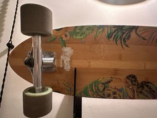 Globe The All Time Bamboo Prickly Pear Longboard
