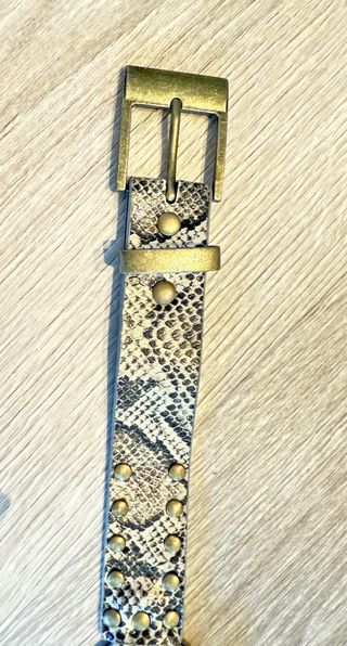 Cinturón con pedrería y diseño de serpiente