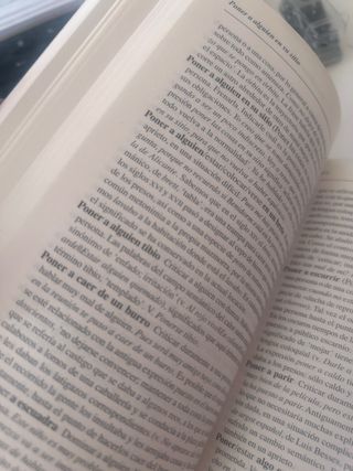 Diccionario De Dichos Y Frases Hechas