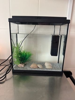 Acuario con motor
