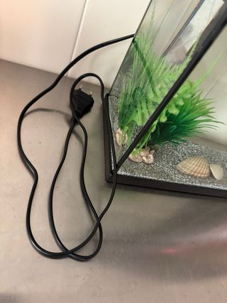 Acuario con motor