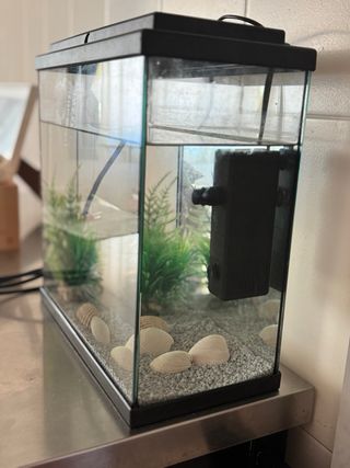 Acuario con motor