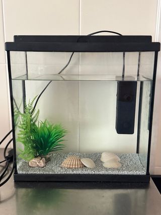 Acuario con motor