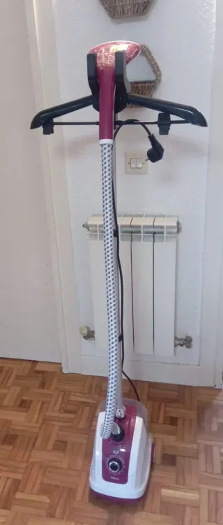 Plancha de vapor vertical