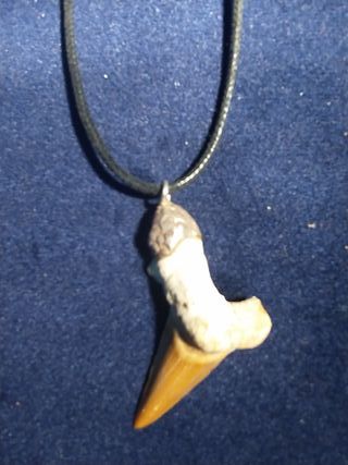 Colgante  Fosil Autentico y Plata 999