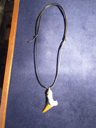 Colgante  Fosil Autentico y Plata 999