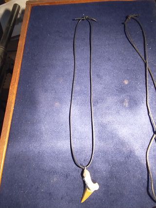 Colgante  Fosil Autentico y Plata 999