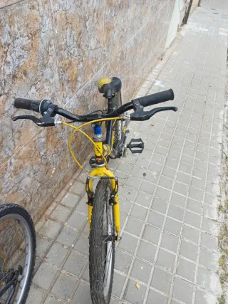 Bicicletas infantiles (niño/a)