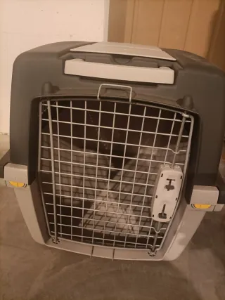 Trasportino per cani (bulldog francese)