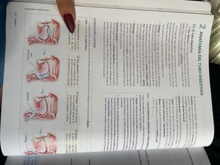 Anatomia Aplicada 1 Bachillerato. Aula 3D