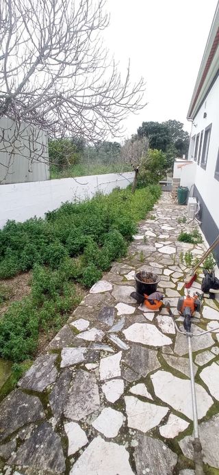 Jardinero económico