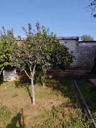 Casa de campo con terreno y piscina en Santa Elo 