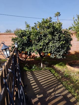 Casa de campo con terreno y piscina en Santa Elo 