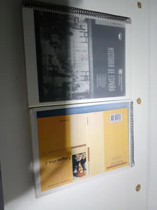 Lote de libros de texto. URGENTE VENDER HOY.
