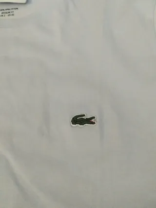 Camiseta Lacoste Azul Claro Original