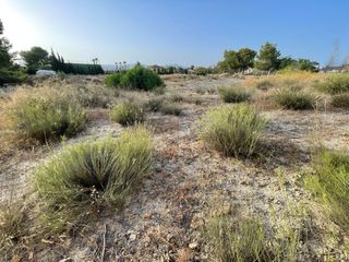 Parcela en La Alcayna con proyecto y cimentación