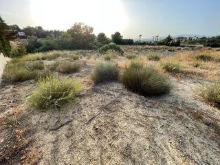 Parcela en La Alcayna con proyecto y cimentación