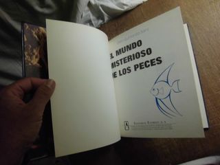 EL MISTERIOSO MUNDO DE LOS PECES EVEREST 1981