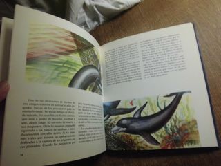 EL MISTERIOSO MUNDO DE LOS PECES EVEREST 1981