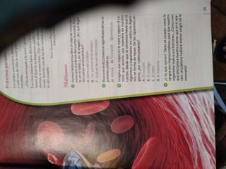 Ciencias de la naturaleza. 6 Primaria. Savia. M...